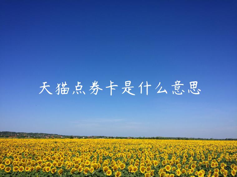 天貓點(diǎn)券卡是什么意思